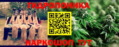 прущая мука Гатчина